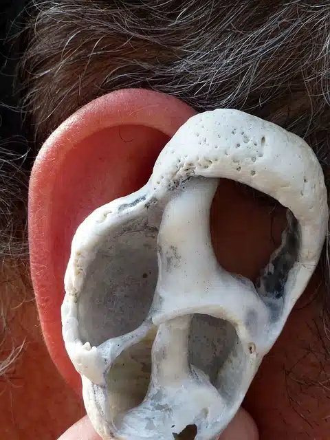 Bone Conduction