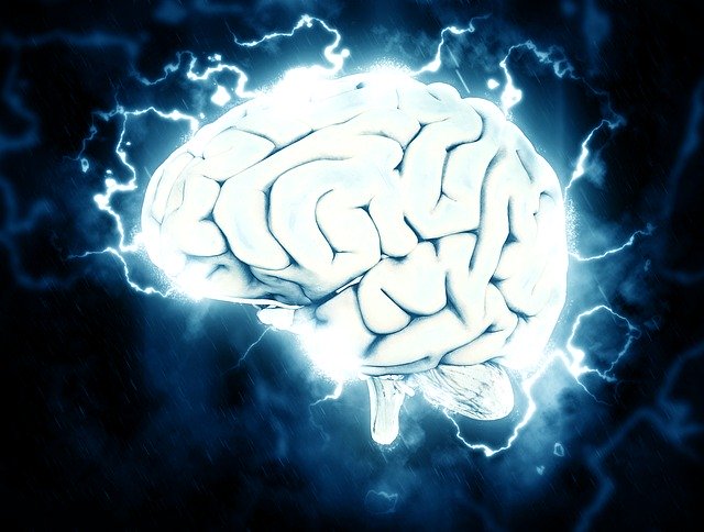 Neuroscience and neuroplasticity