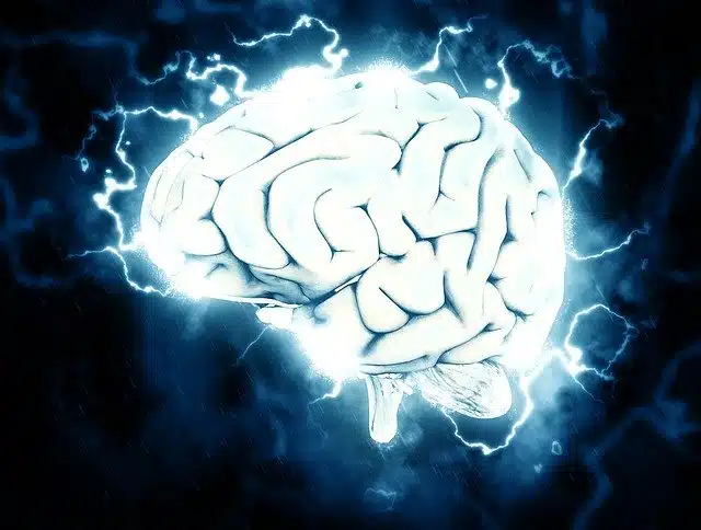 Neuroscience and neuroplasticity