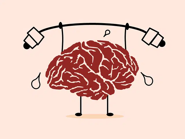 Body-Brain Connection