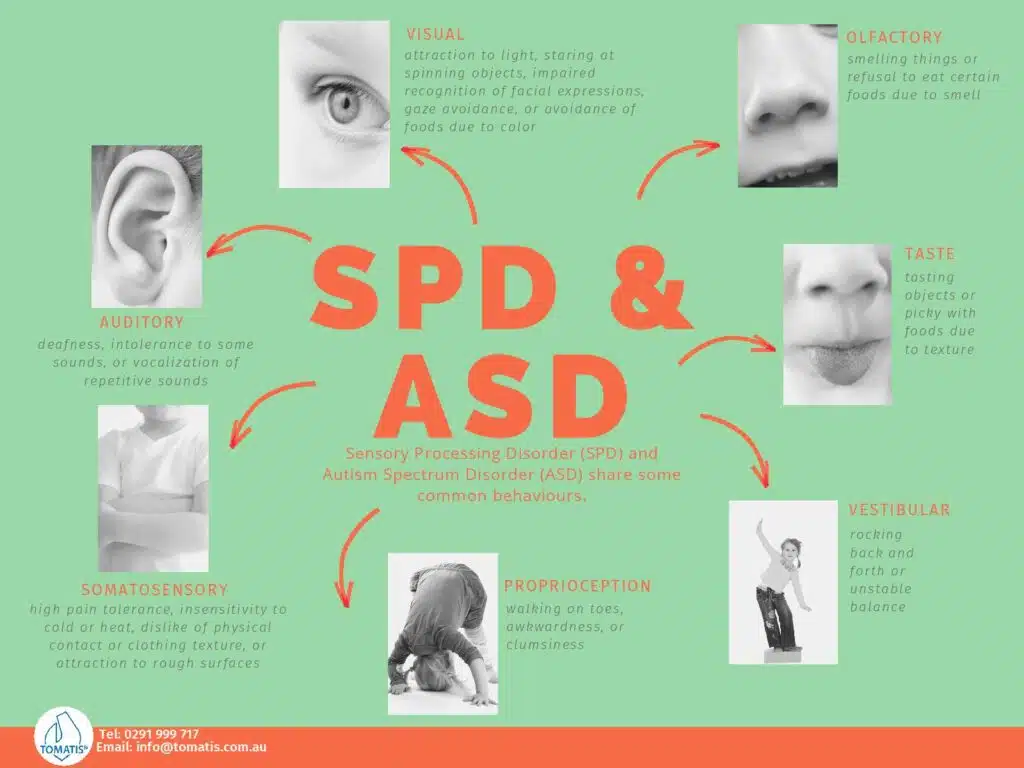 relationship between SPD and ASD in sydney